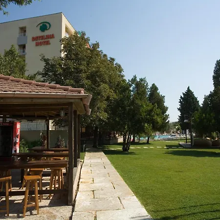 Detelina غولدن ساندز