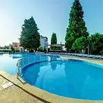 Detelina 골든샌드