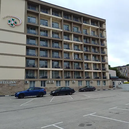 Detelina Otel 3*