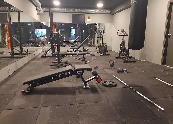 Detelina Zlate písky