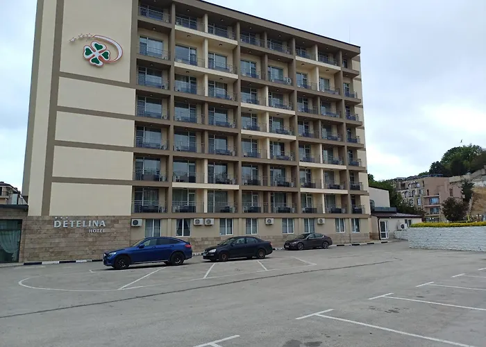 Detelina Hotell 3*